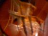 post-4739-1243079643_thumb.jpg