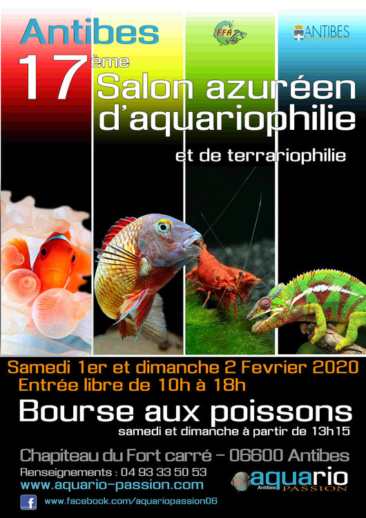 Affiche 2020 compressée.jpg