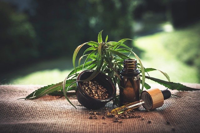 plante cbd