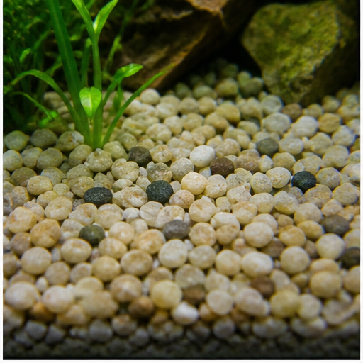 Gravier neutre arrondi dans un aquarium