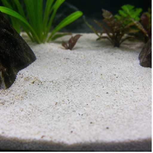 Sable fin clair dans un aquarium